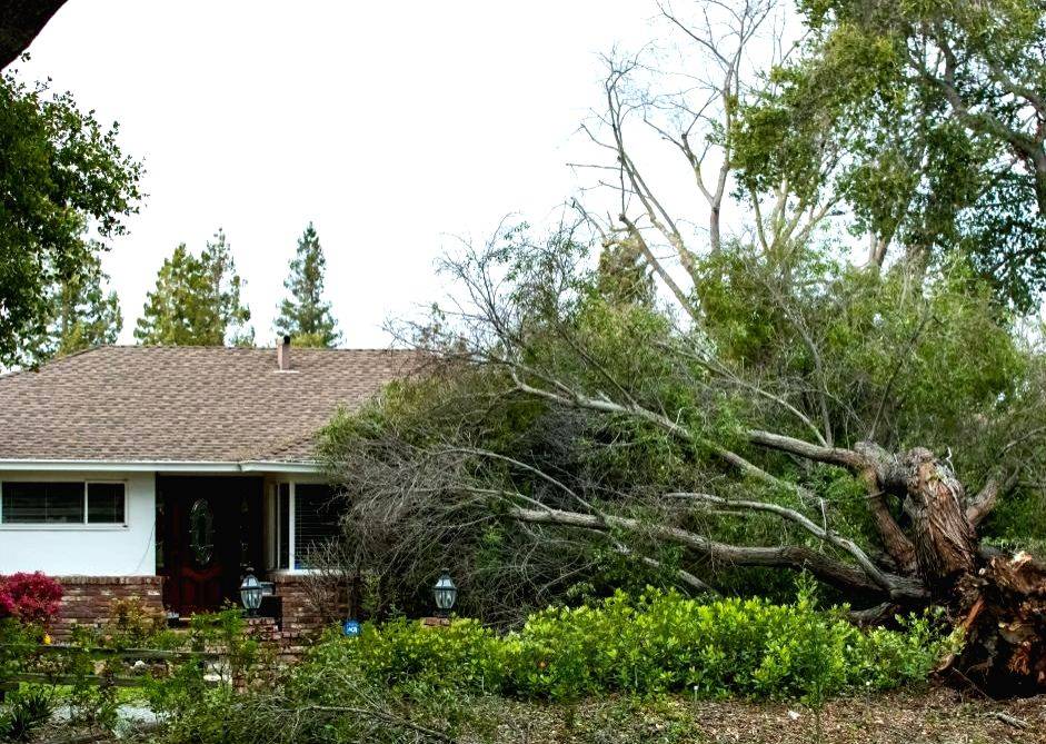 San Francisco Bay Area suffers worst power outage in decades - Vimarsana News