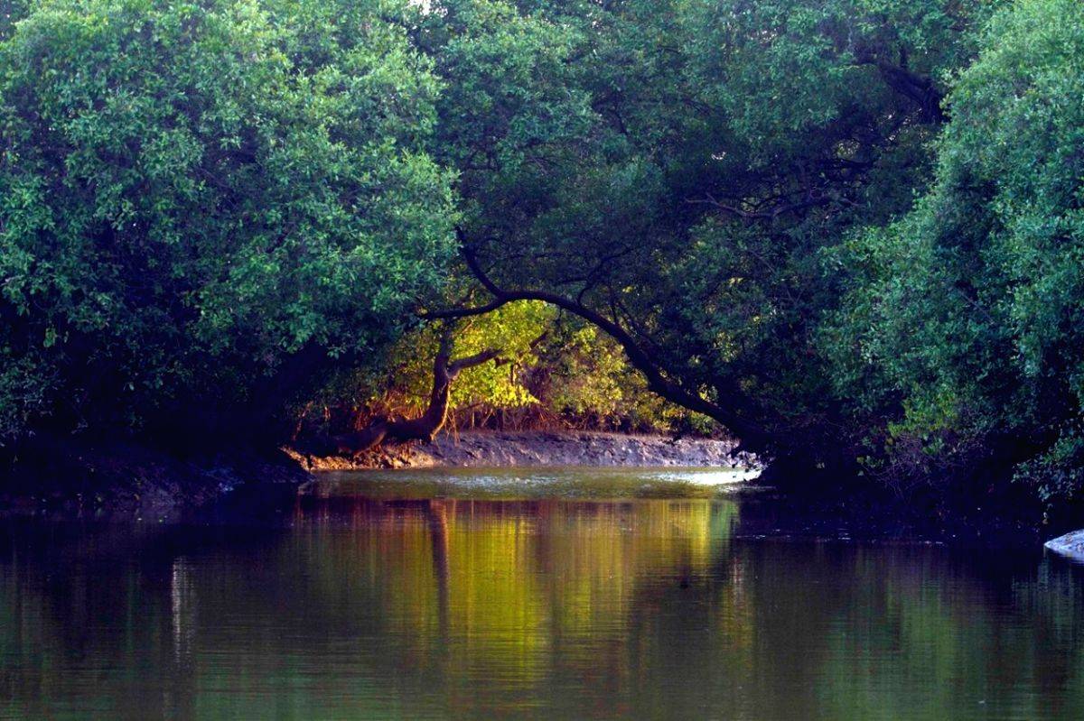 As Goa govt pushes eco-insensitive projects, state risks losing 15% land - Vimarsana News