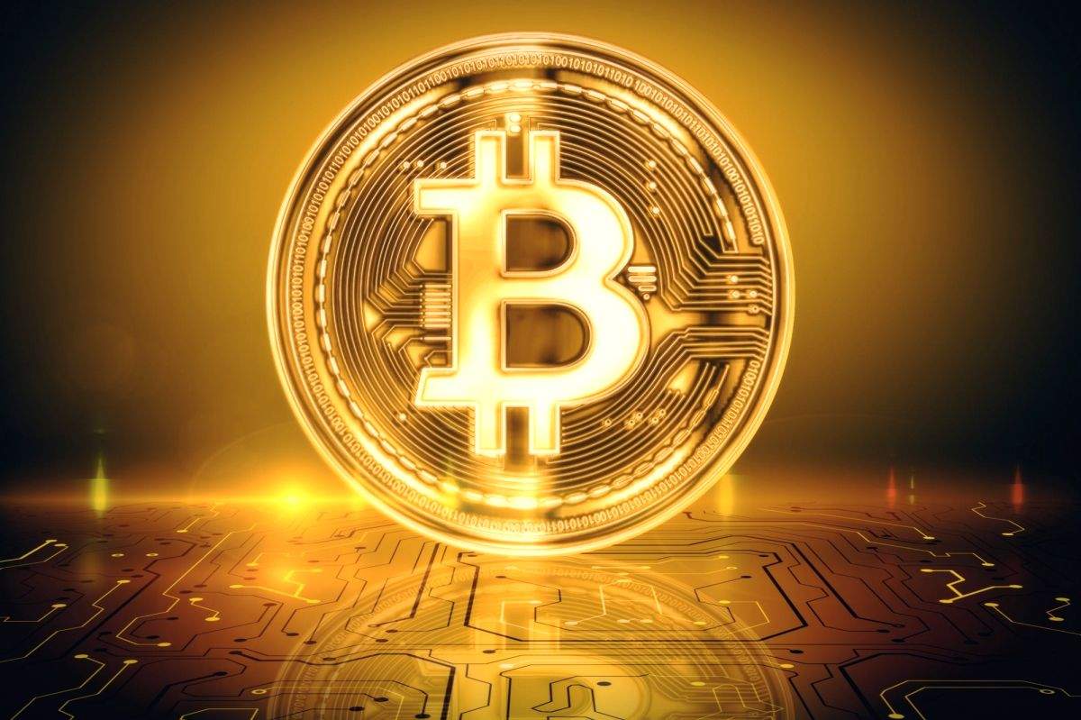 Indian founder on the run in global $2.4 bn crypto ponzi scheme - Vimarsana News