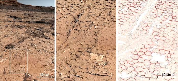 AI may help find life on Mars, other planets with 90% accuracy - Vimarsana News