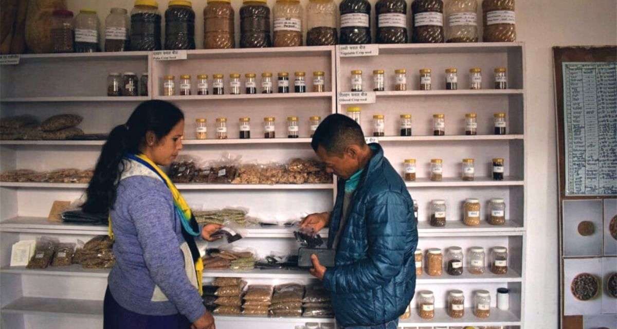 Vocal for local: Seed bank in Uttarakhand rescues indigenous crops, engages women farmers - Vimarsana News