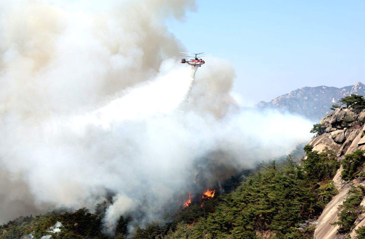 Firefighters battle wildfires in S.Korea for 3rd day - Vimarsana News