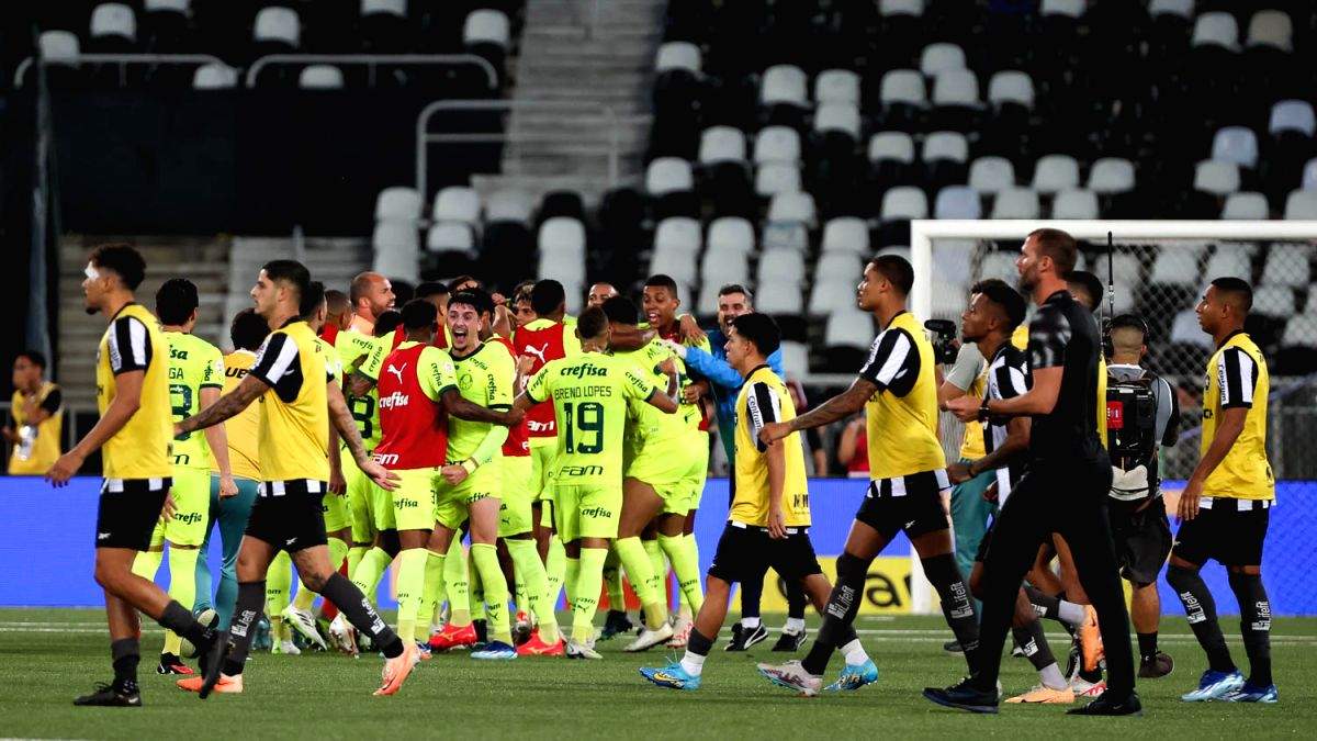 Serie A: Endrick sinks Botafogo as Palmeiras heat up title race - Vimarsana News