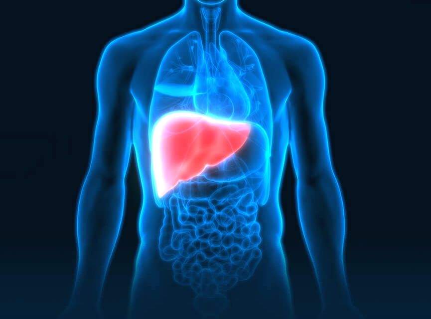 'Illness to Wellness' campaign advocates for proactive steps to arrest alarming rise in liver diseases - Vimarsana News