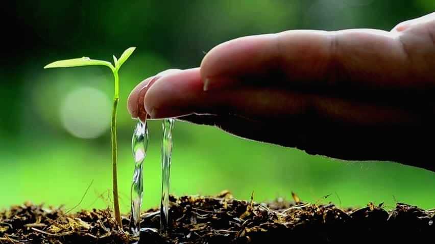 Seven-day camp on active role of students in environment protection in Jammu - Vimarsana News
