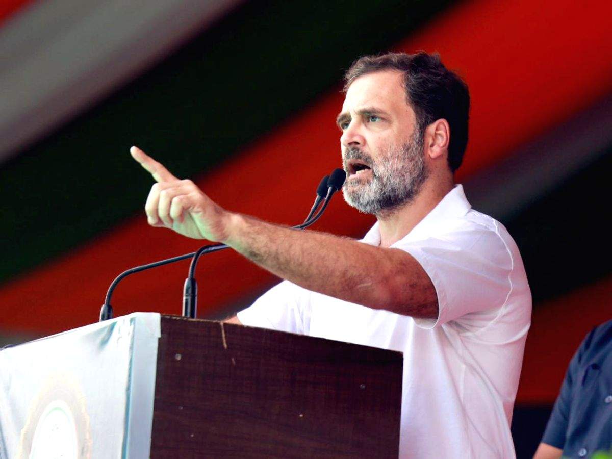 After Bihar releases caste-based census, Rahul says it is important to know caste statistics - Vimarsana News