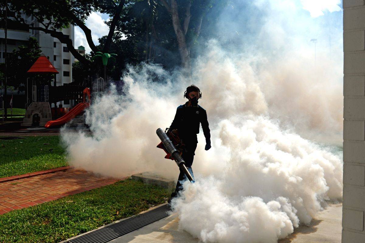 Six more Zika virus cases in UP's Kanpur, tally reaches 10 - Vimarsana News