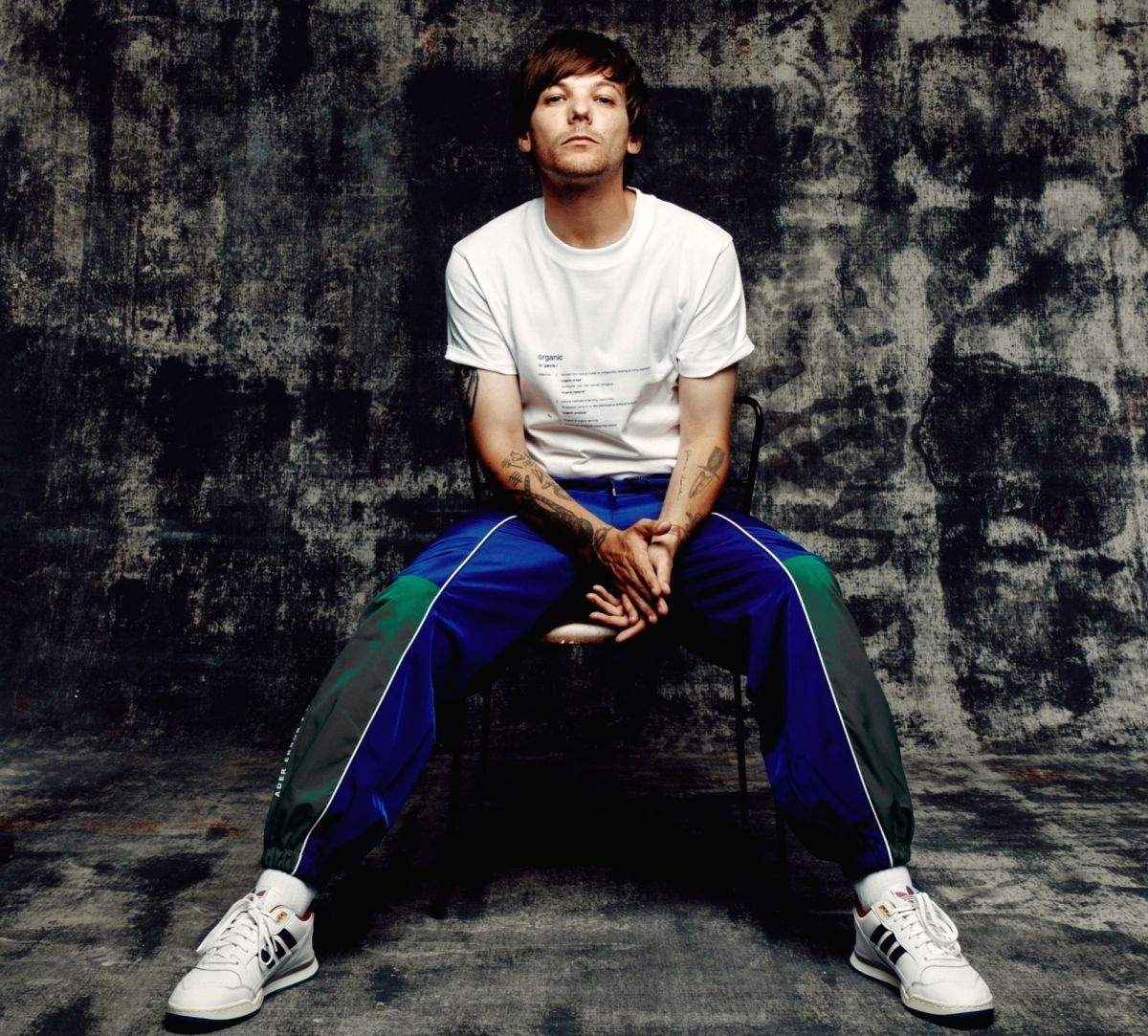 Louis Tomlinson addresses 'childish' conspiracy theories - Vimarsana News