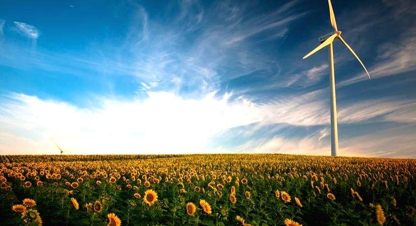 Small steps can make Earth greener - Vimarsana News