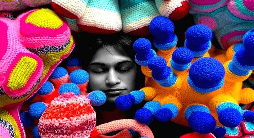 Soft Invasions, stitch-punk visions, celebrating Pride Month - Vimarsana News