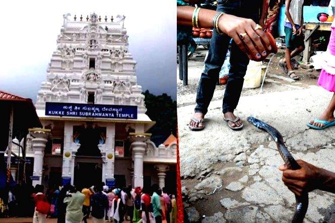 Special prayers in Karnataka temple on Nag Panchami for Chandrayaan-3 mission success - Vimarsana News