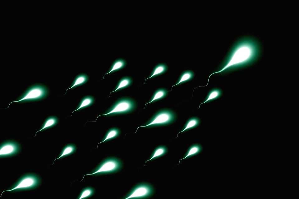 Study reveals why some men don't produce enough sperm - Vimarsana News