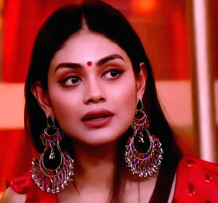 'BB 16': Sreejita De, Vikkas Manaktala are the new wildcard entrants - Vimarsana News