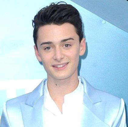 Noah Schnapp gets backlash for liking Insta post making fun of Muslims, Palestinians - Vimarsana News