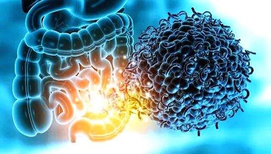 Study shows our gut microbes may determine bone health - Vimarsana News