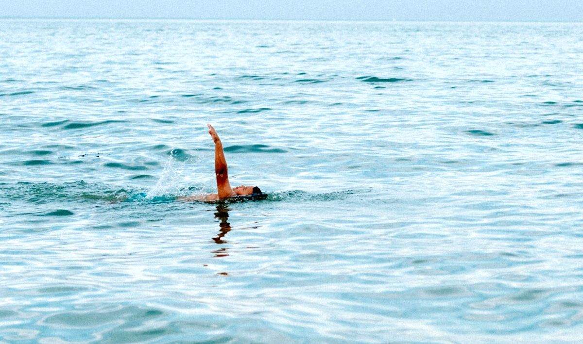 New Zealand beach safe for swimming after contamination concerns - Vimarsana News