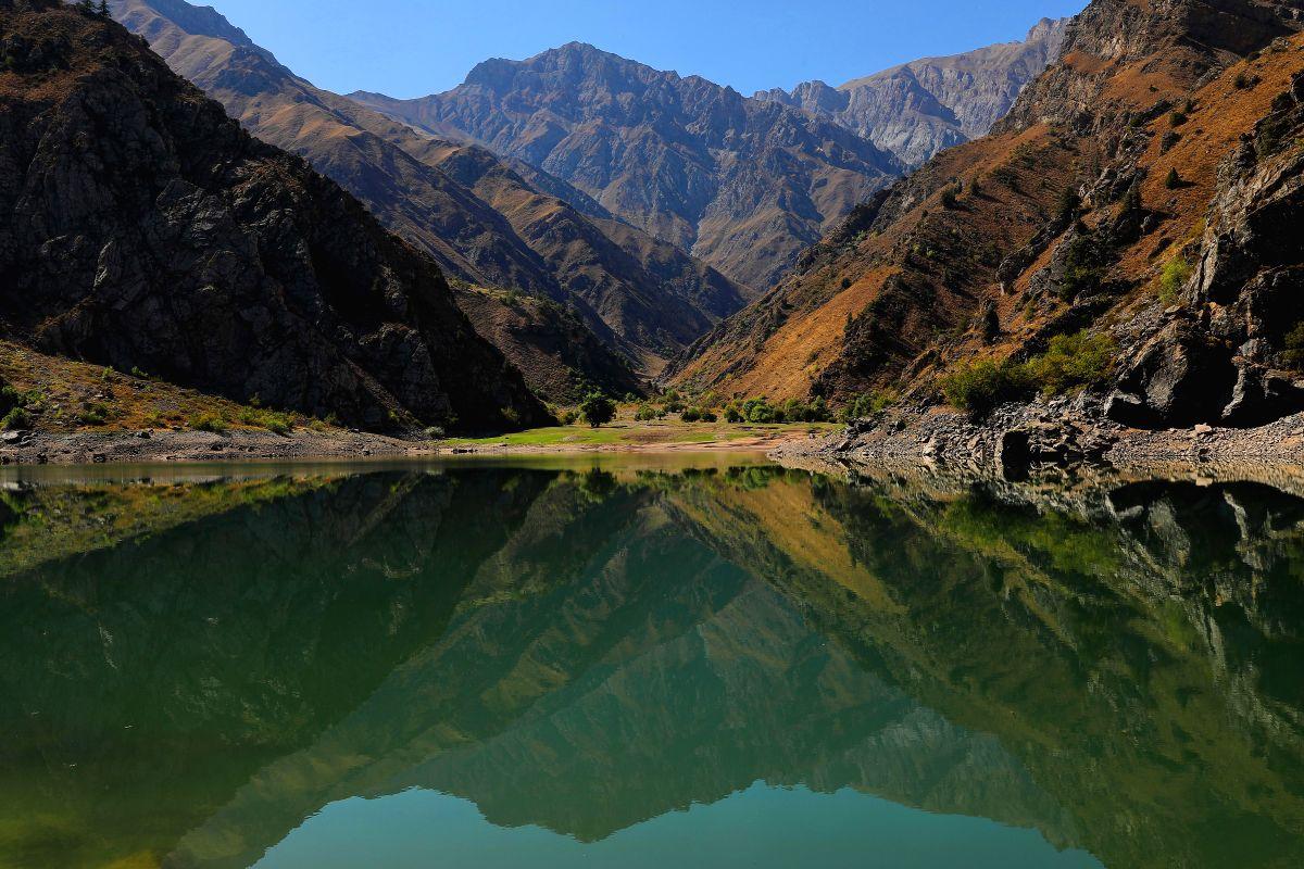 Uzbekistan gets $142 mn World Bank concessional credit for forest restoration - Vimarsana News