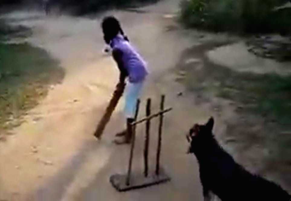 Tendulkar impressed by dog's 'sharp ball catching skills', posts video on social media - Vimarsana News