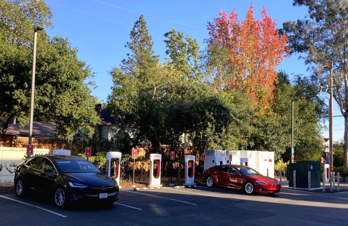 Weird Musk fans ask parents to allow kids for Tesla FSD test on road - Vimarsana News