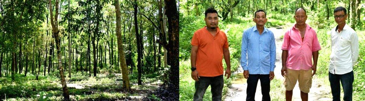 The Return of the Native Part 1: Unity brings back diversity into Udalguri's barren forest - Vimarsana News