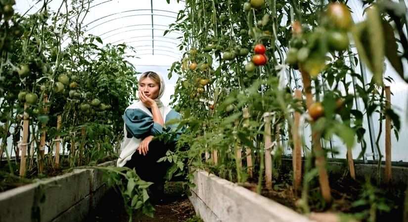 The right way to adapt to organic farming - Vimarsana News