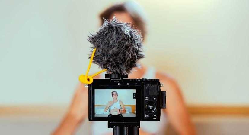 The Role of Influencers in Shaping Social Issues: A Look at Influencer Activism - Vimarsana News