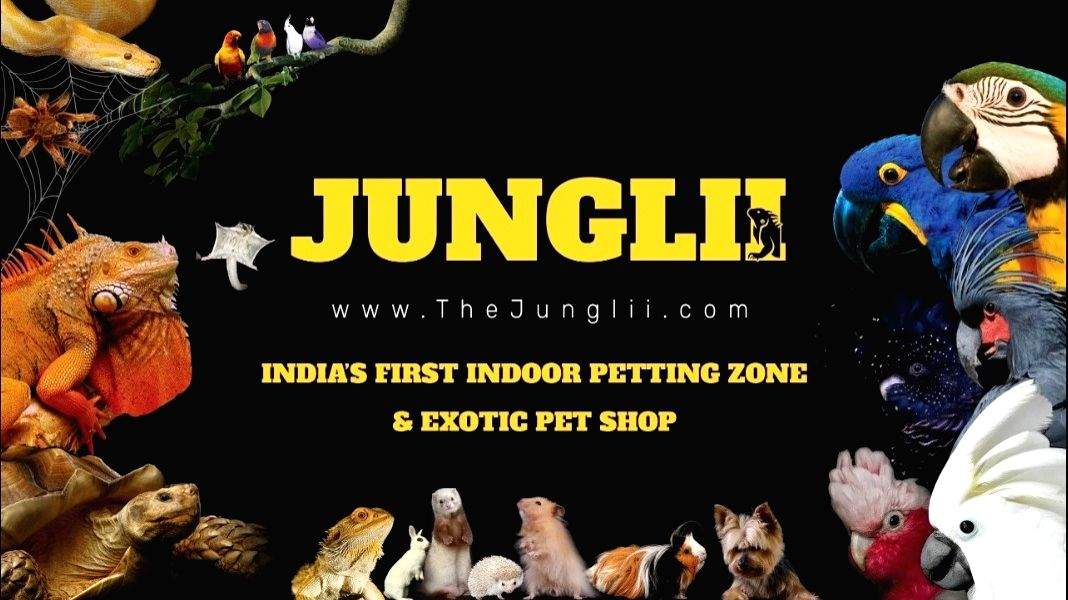 TN Animal Welfare Board to conduct inspection of petting zoo - Vimarsana News