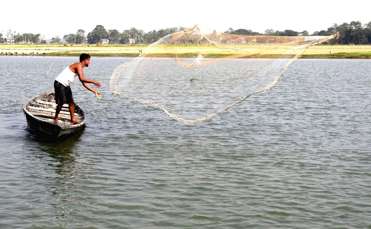 Gujarat fishermen in trouble due to polluted rivers and problematic regulations - Vimarsana News