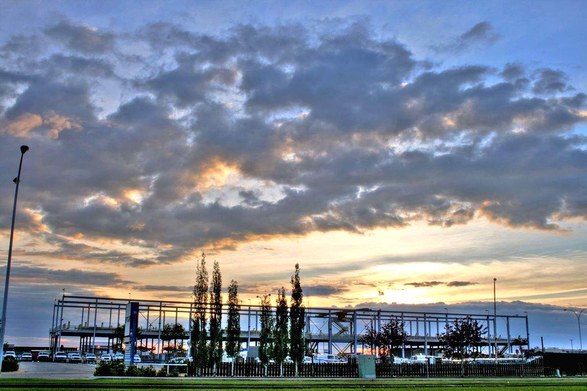 Telangana to partner with Flanders for promotion of Life Sciences industry - Vimarsana News