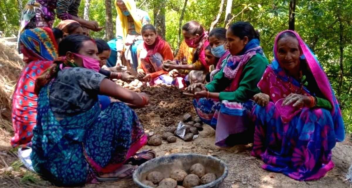 To protect crops from wild animals, Uttarakhand villagers are 'seed bombing' forests - Vimarsana News