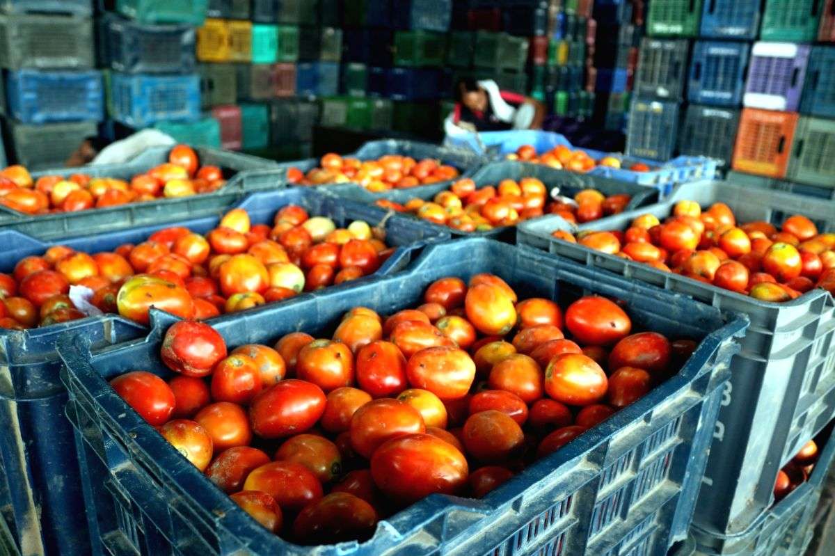 Tomato prices shooting through the roof in B'luru - Vimarsana News
