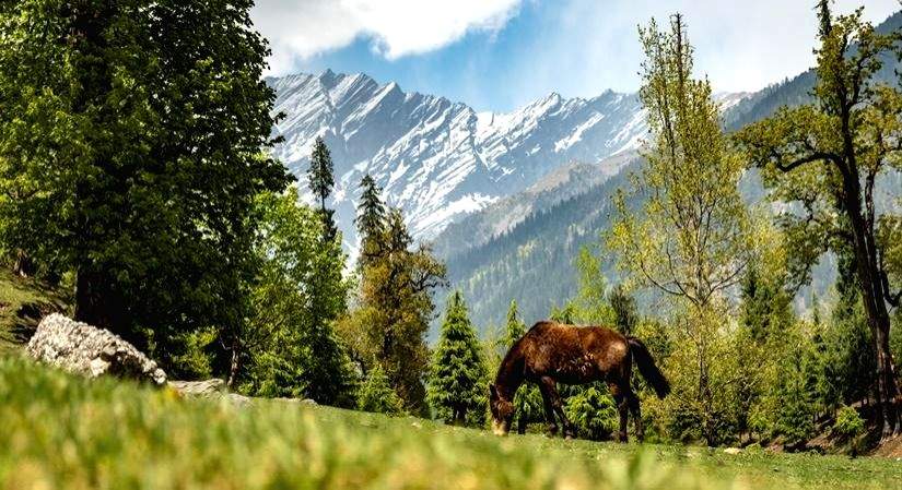 Top Destinations for Sustainable Stays in 2022 - Vimarsana News