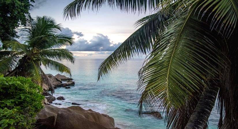 Seychelles: The Perfect Paradise for Nature Lovers - Vimarsana News