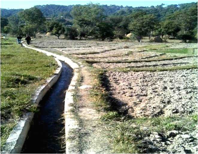Tradition kuhl irrigation technique boosts Kangra farmers' produce and profits - Vimarsana News