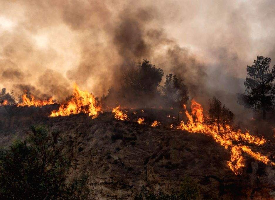Police probe into suspicious bushfires in Australia's Queensland - Vimarsana News