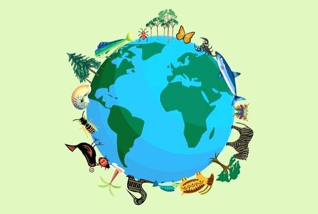 UN Biodiversity Convention postpones in-person sessions - Vimarsana News