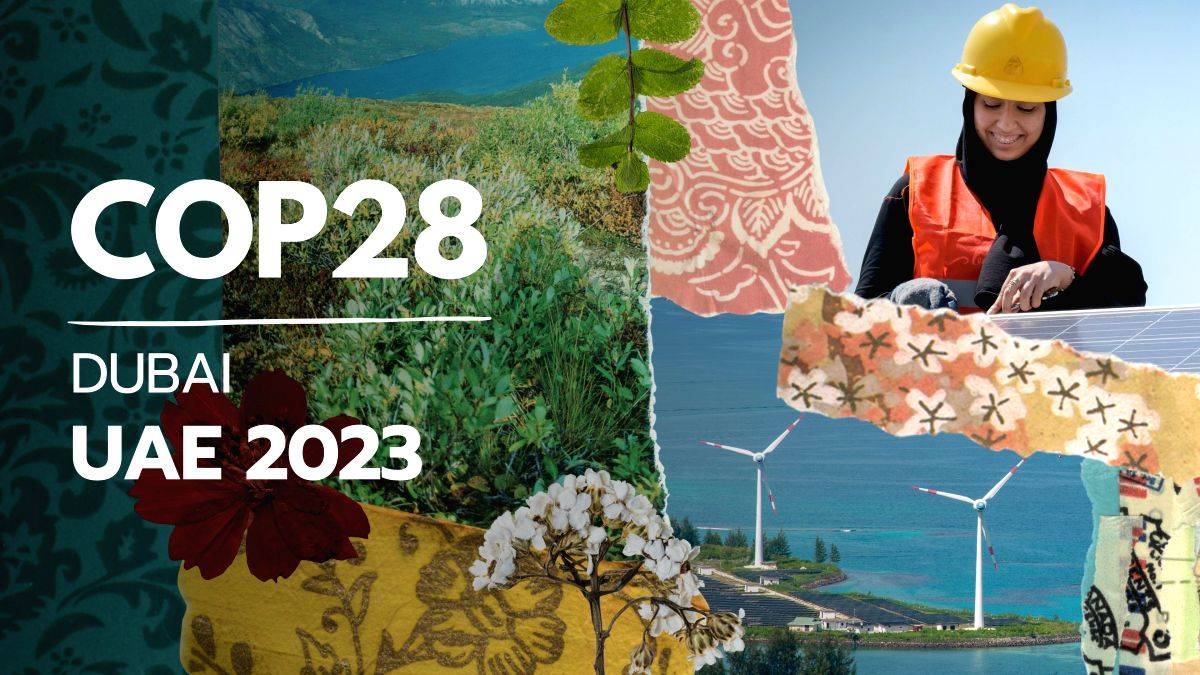 UN climate summit in Dubai to offer carbon-neutral menus - Vimarsana News
