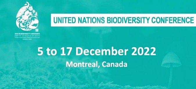 UN Convention on Biological Diversity to reconvene on Dec 5 - Vimarsana News