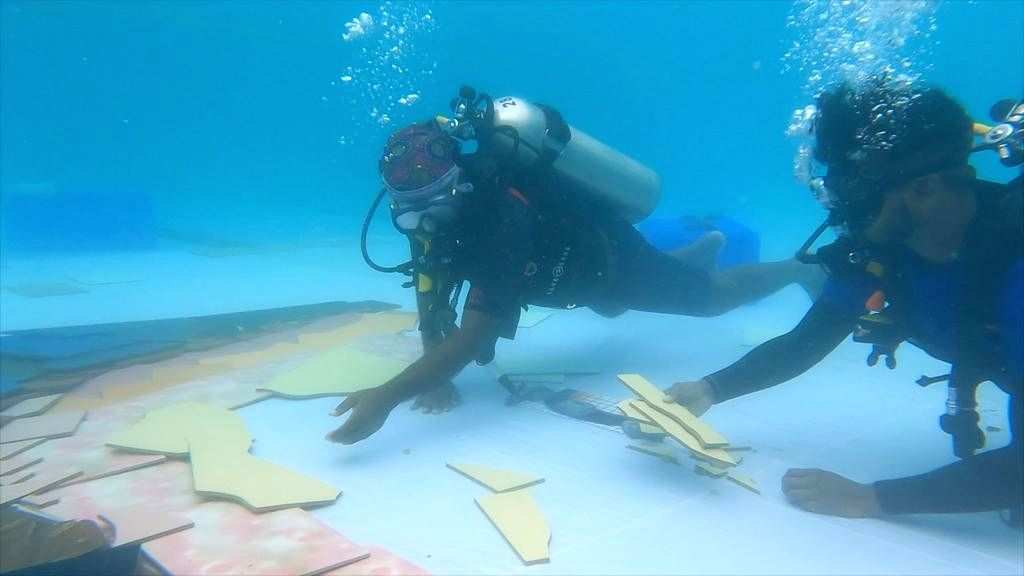 Underwater portrait of Late Capt Vikram Batra to mark Kargil Diwas - Vimarsana News