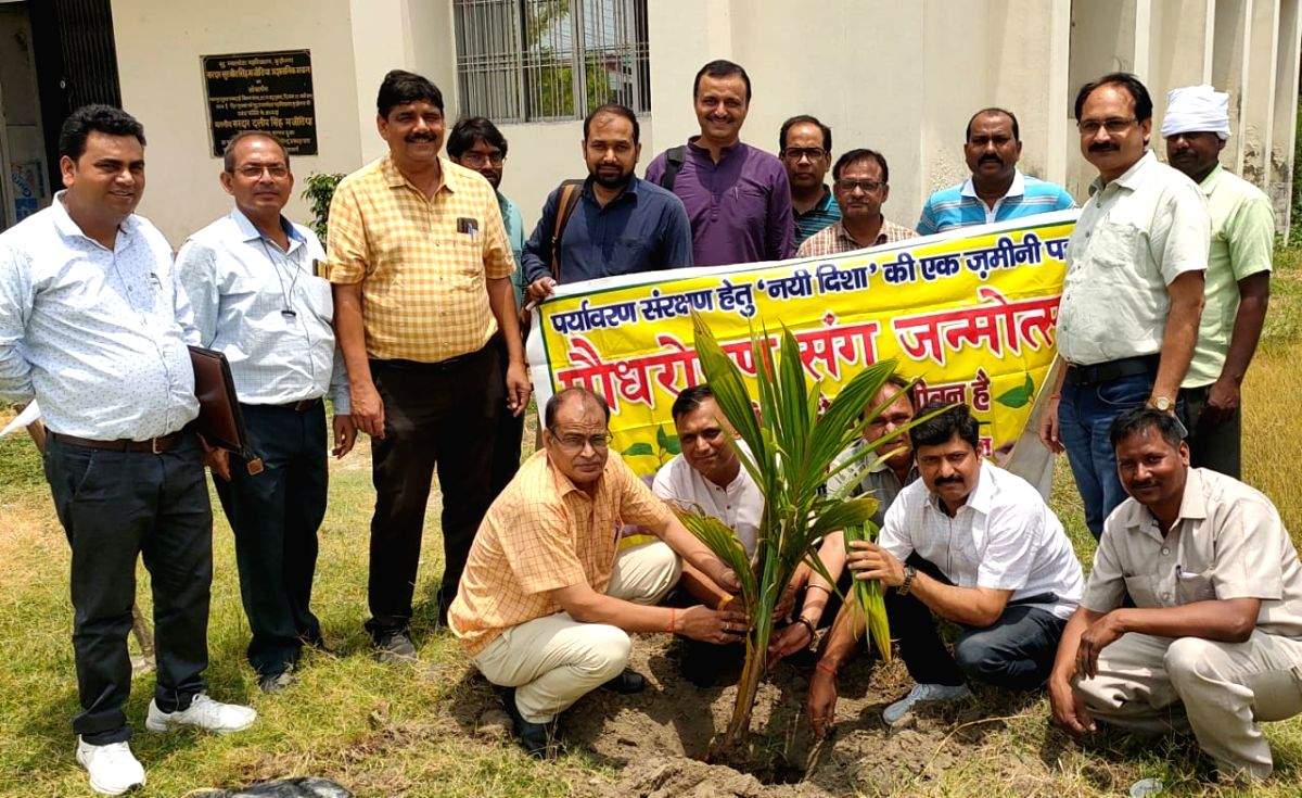 Kushinagar's green changemakers plant 11K trees in 11 years - Vimarsana News