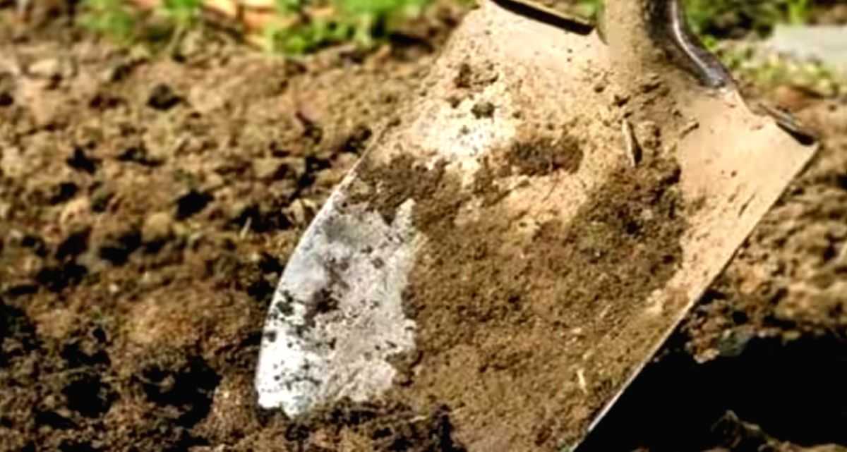 UP farmers no longer need permission to extract clay - Vimarsana News