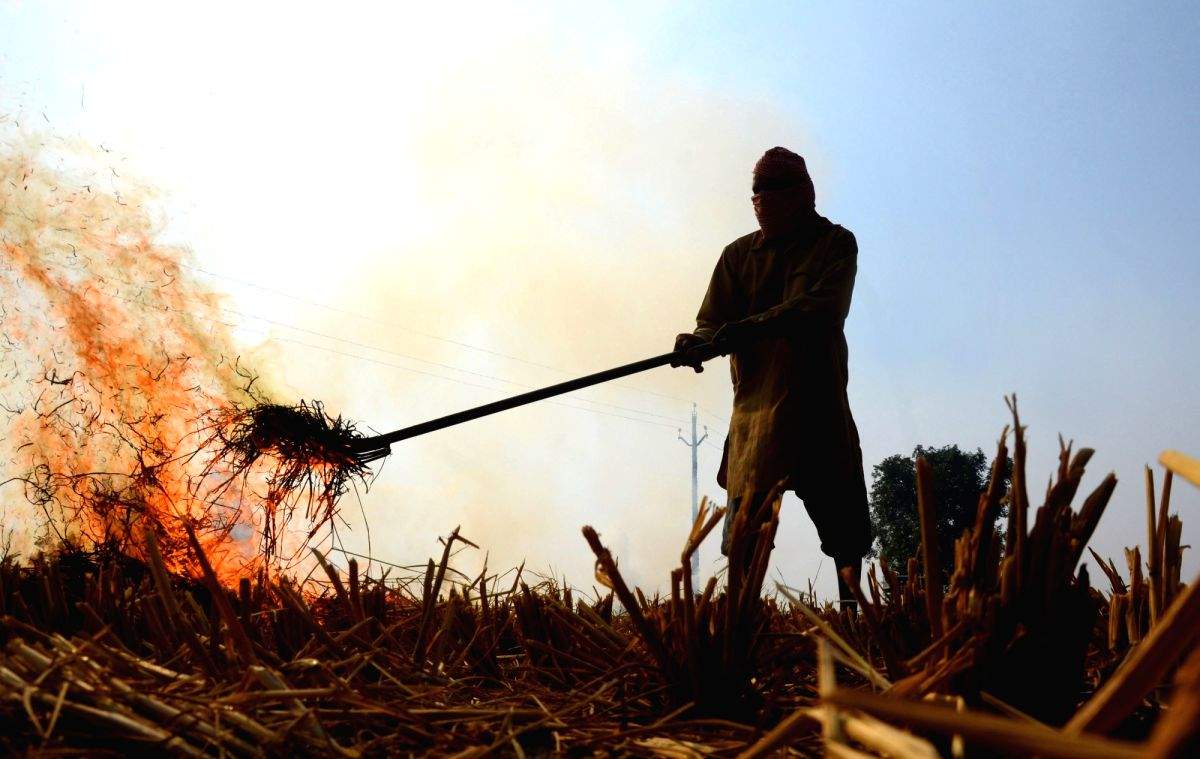 Rise in stubble burning in Punjab 'matter of concern' - Vimarsana News