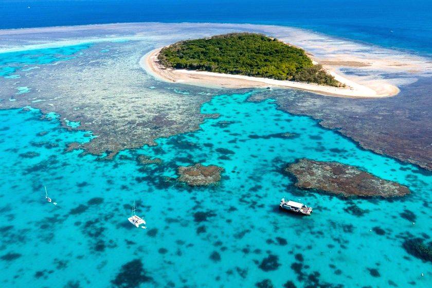 Warming water inhibits growth of Great Barrier Reef coral: Study - Vimarsana News
