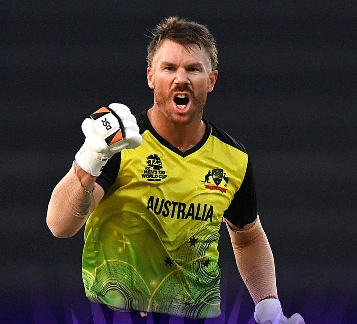 Warner, Marsh to miss T20I series vs Sri Lanka; BBL star McDermott makes comeback - Vimarsana News