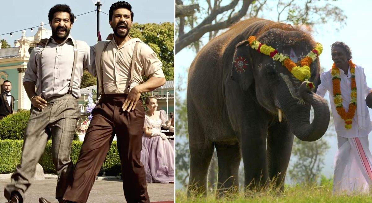 What are LA punters betting on? 'Naatu Naatu' and 'The Elephant Whisperers' - Vimarsana News