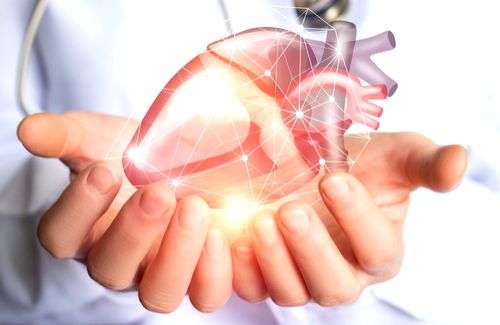 How keeping a healthy heart is key to ward off Alzheimer's, dementia risk - Vimarsana News