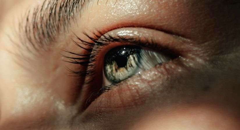 New machine learning model to prevent sight loss in humans - Vimarsana News