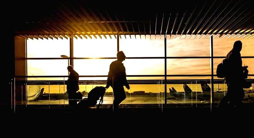 'Locky' arrives from Ukraine, but airlines refuse onward journey to Kerala - Vimarsana News