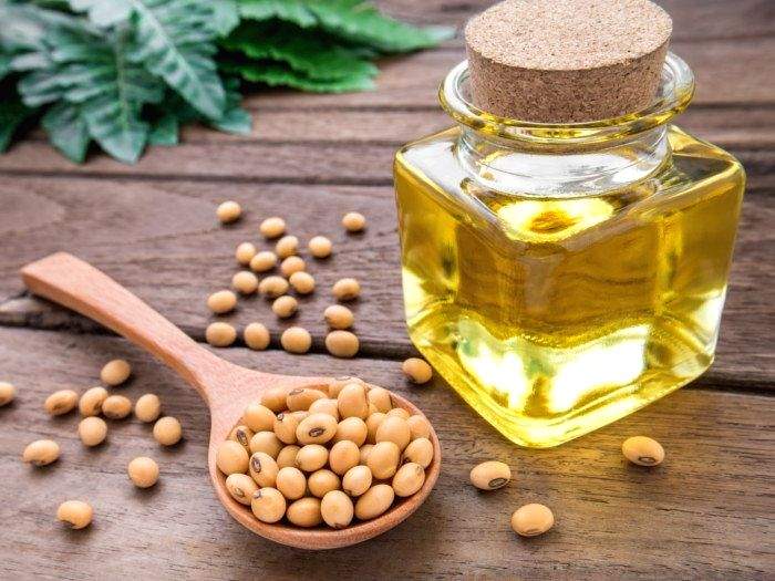 Centre allows duty-free imports of 20 lakh tonne crude soy, sunflower oil each - Vimarsana News
