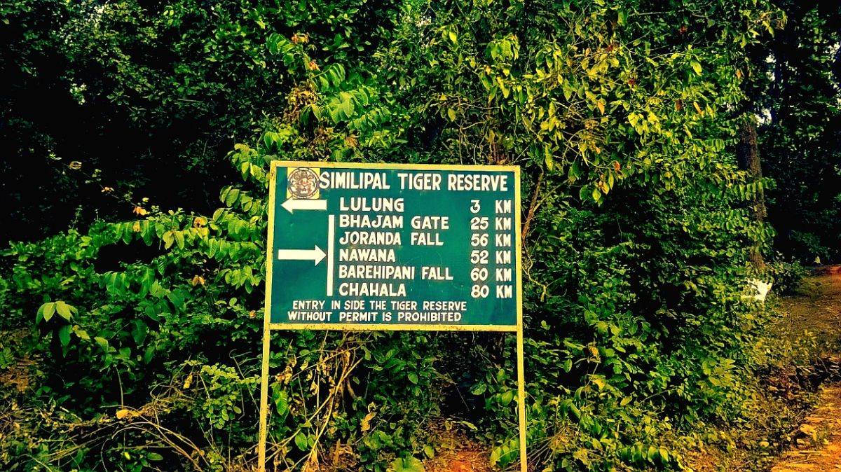 Wildfire at Simlipal under control, no loss of life reported - Vimarsana News